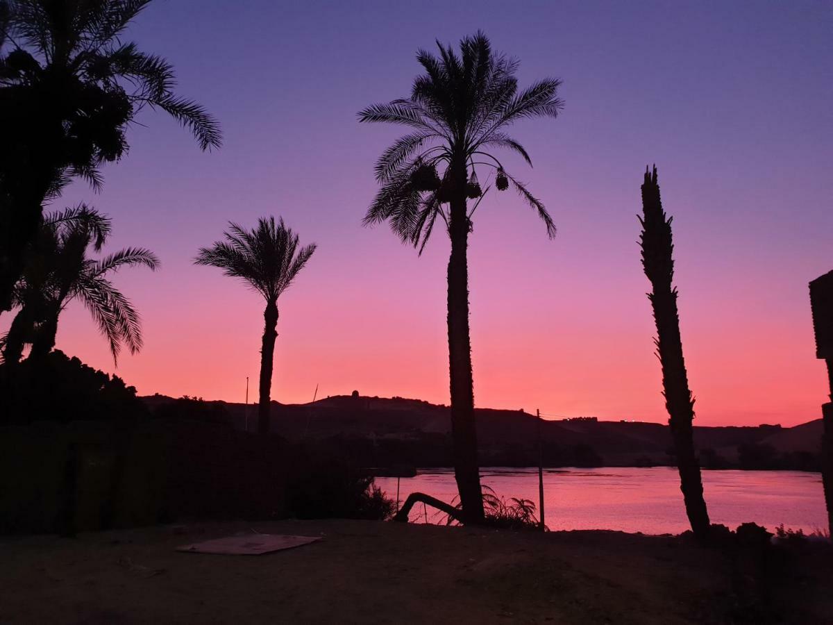Basmatic Nubian Guest House Aswan Exteriör bild